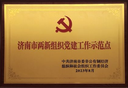 喜报｜LETOU信息获评济南市两新组织党建示范点